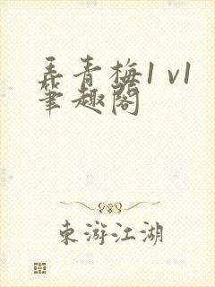 弄青梅1 v1笔趣阁