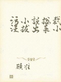 污小说总裁整夜没拔出来小说在线阅读