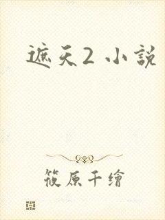 遮天2 小说封面