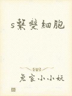s系双细胞