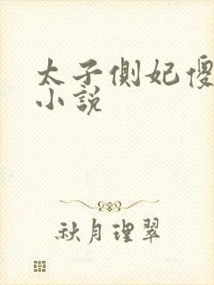 太子侧妃傻乎乎小说