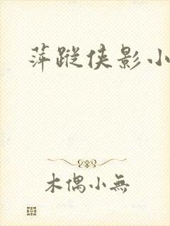 萍踪侠影小说