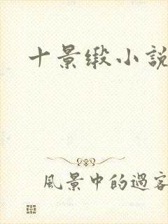 十景缎小说