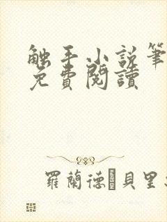 触手小说笔趣阁免费阅读封面