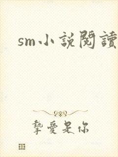 sm小说阅读