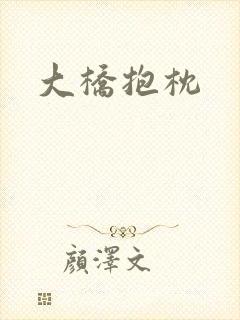 大桥抱枕