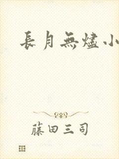 长月无烬小说