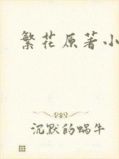 繁花原著小说