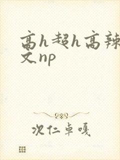 高h超h高辣h文np封面
