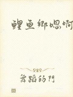 鲤鱼乡嗯啊封面
