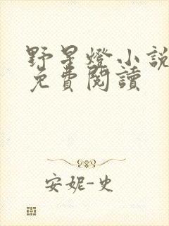 野星灯小说全文免费阅读