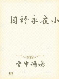 囚于永夜小说