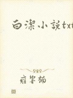 白洁小说txt封面