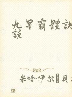九星霸体诀 小说