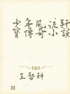 少年风流轩辕大宝传奇小说封面