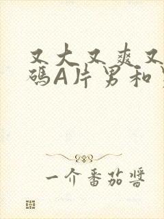 又大又爽又黄无码A片男和男