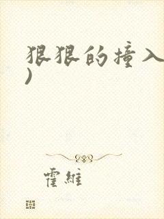 狠狠的撞入(h)