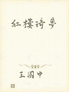 红楼琦梦封面