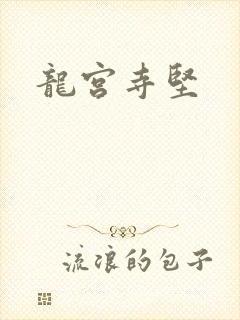 龙宫寺坚