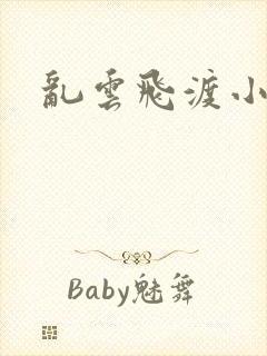 乱云飞渡小说