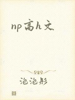 np高h文封面