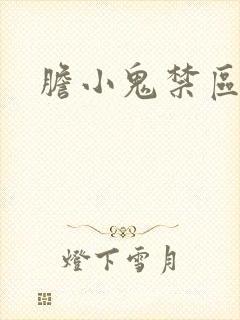胆小鬼禁区