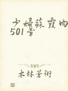 少妇苏霞肉欲第501章