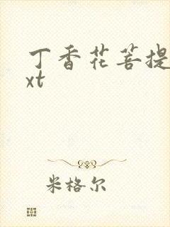 丁香花菩提树txt