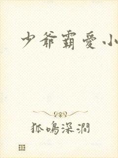 少爷霸爱小丫头