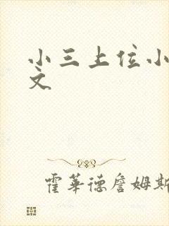 小三上位小说全文