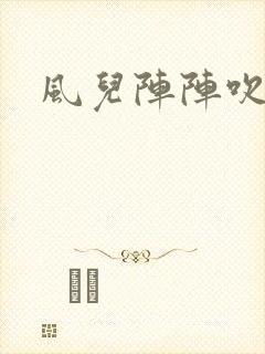 风儿阵阵吹封面