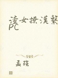 渣女撩汉系统NPC