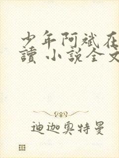 少年阿斌在线阅读 小说全文免费