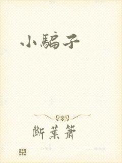小骗子