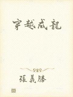 穿越成龙封面
