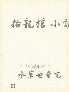 抬龙棺 小说