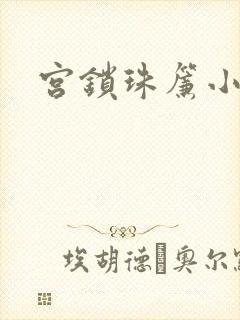 宫锁珠帘小说