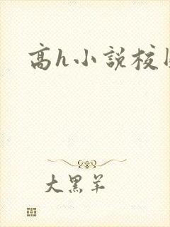 高h小说校园封面