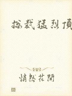 总裁猛烈顶弄h封面
