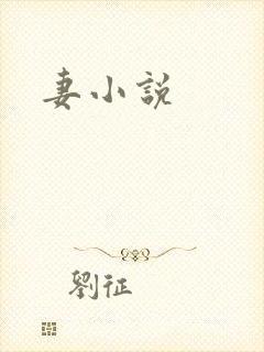 妻小说