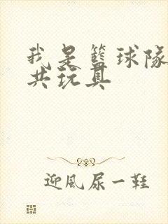 我是篮球队的公共玩具