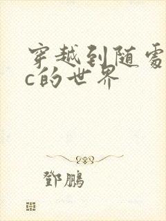 穿越到随处可以c的世界