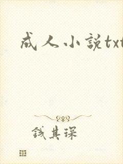 成人小说txt封面