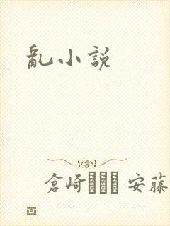 乱小说