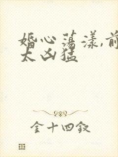 婚心荡漾,前夫太凶猛