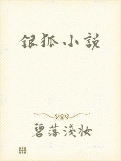 银狐小说