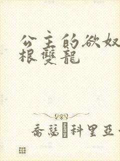 公主的欲奴h四根双龙
