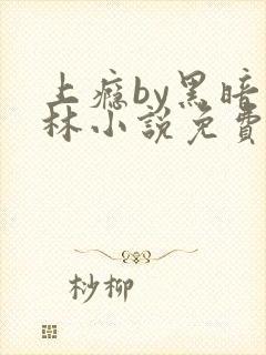 上瘾by黑暗森林小说免费