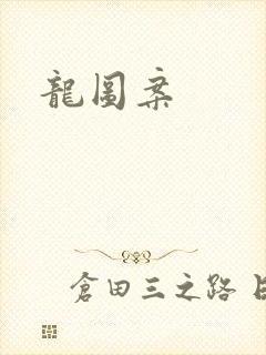 龙图案