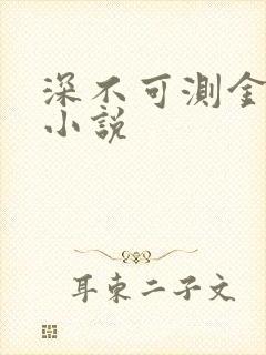 深不可测金银花小说